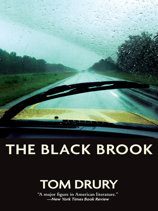 Cover image for The Black Brook